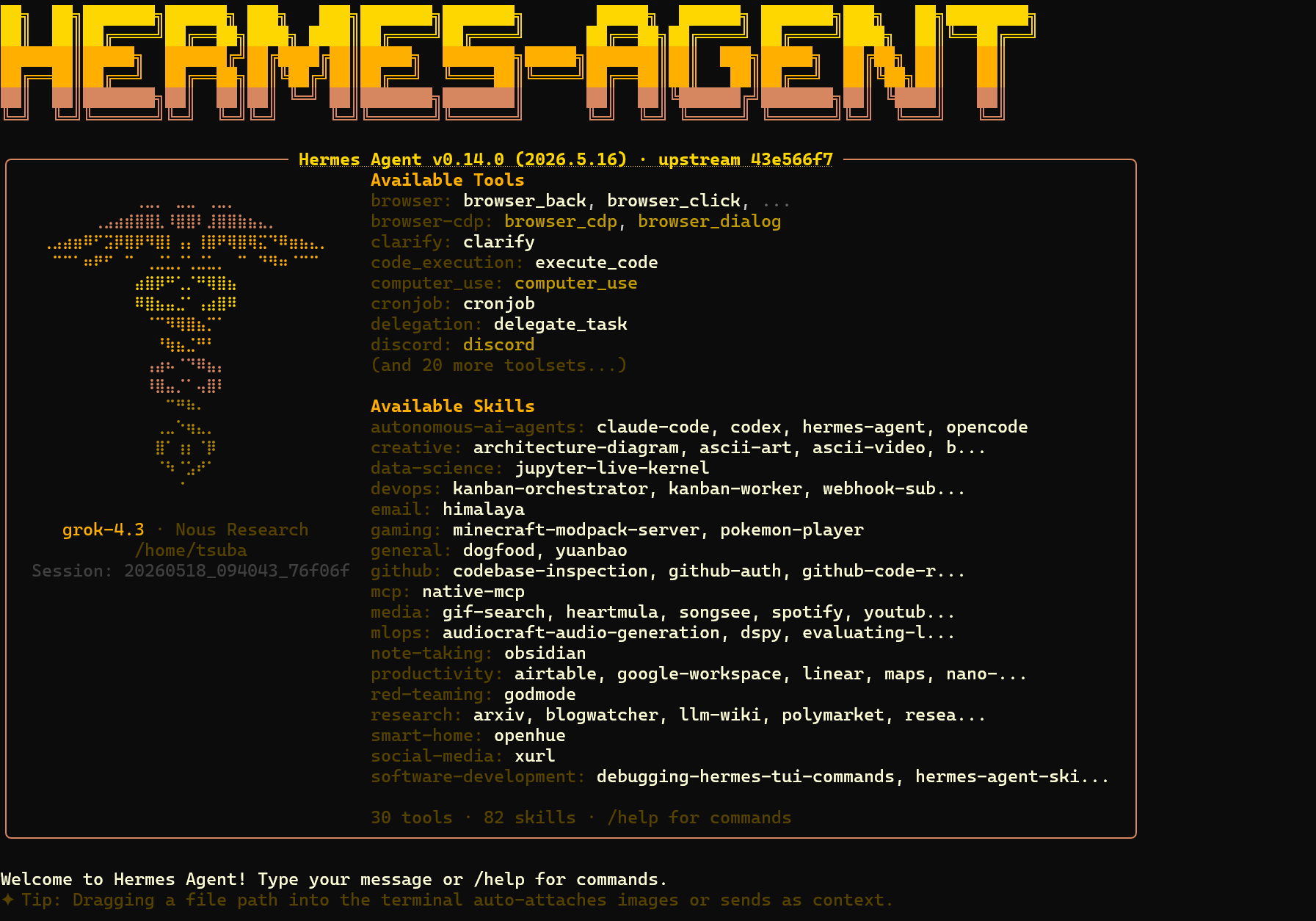 Hermes Agent の TUI 起動画面。Available Tools と Available Skills が表示され、Grok-4.3 でセッション開始